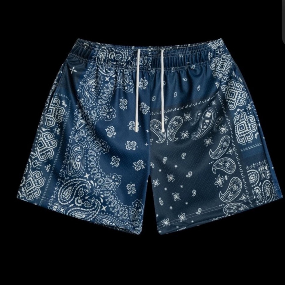 Bravest Studio Navy Patchwork Paisley Shorts NWT Sz L